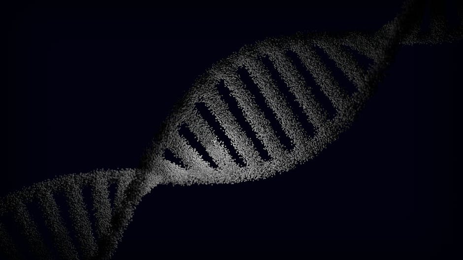 精子DNA碎片率检测流程