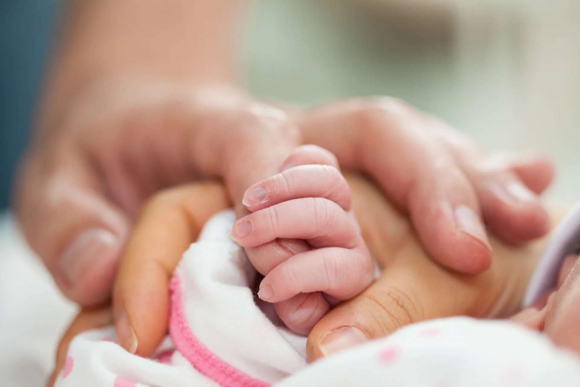 PANON IVF 新生儿