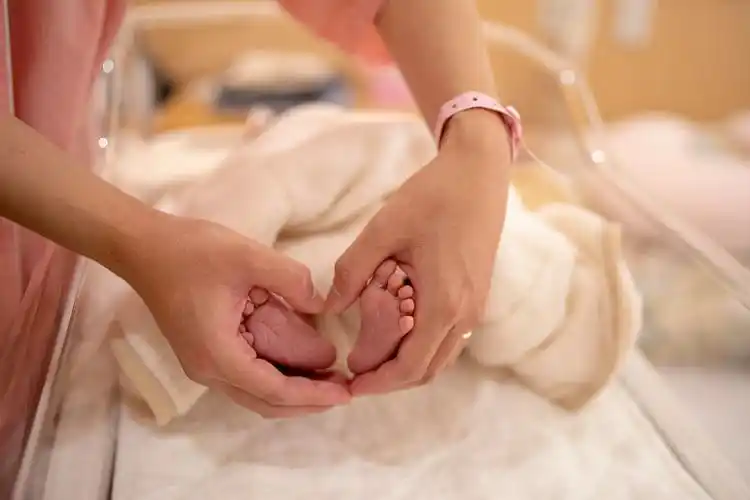 PANON IVF 试管婴儿